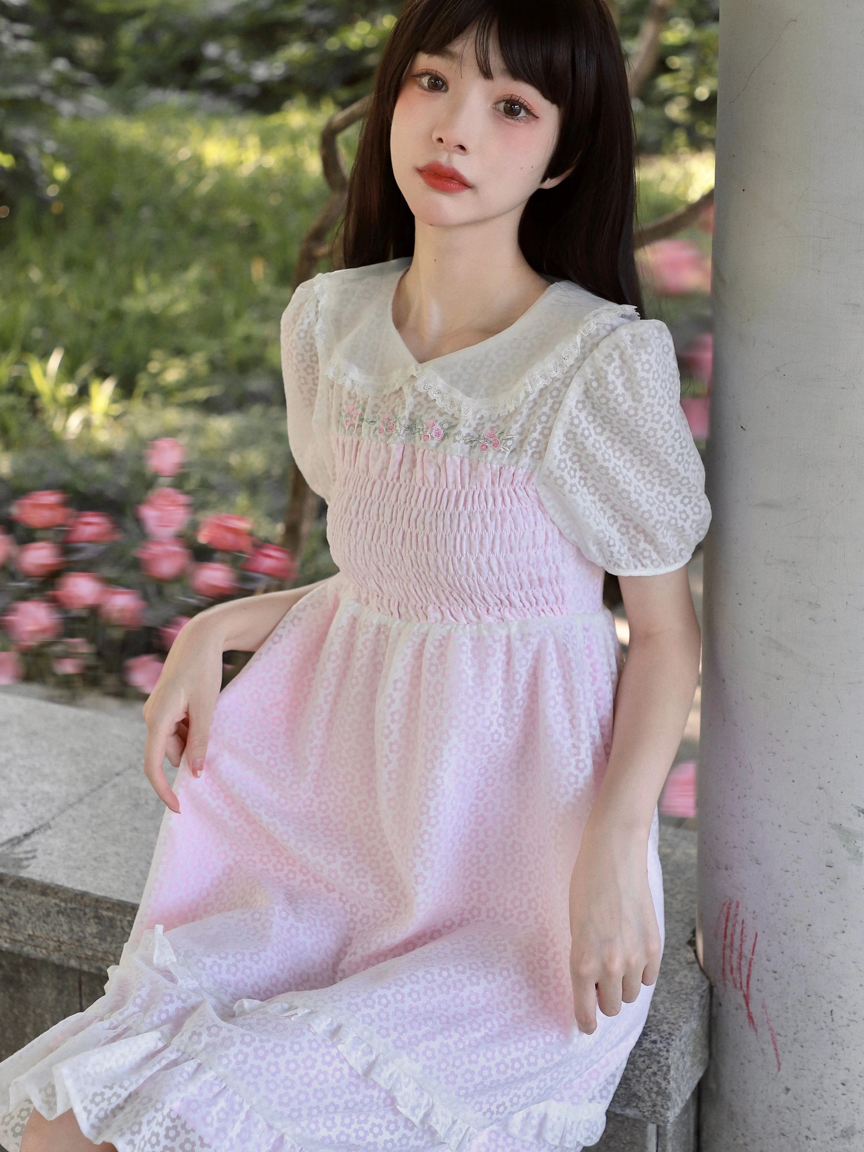 Rose Mist French Romantic Dress