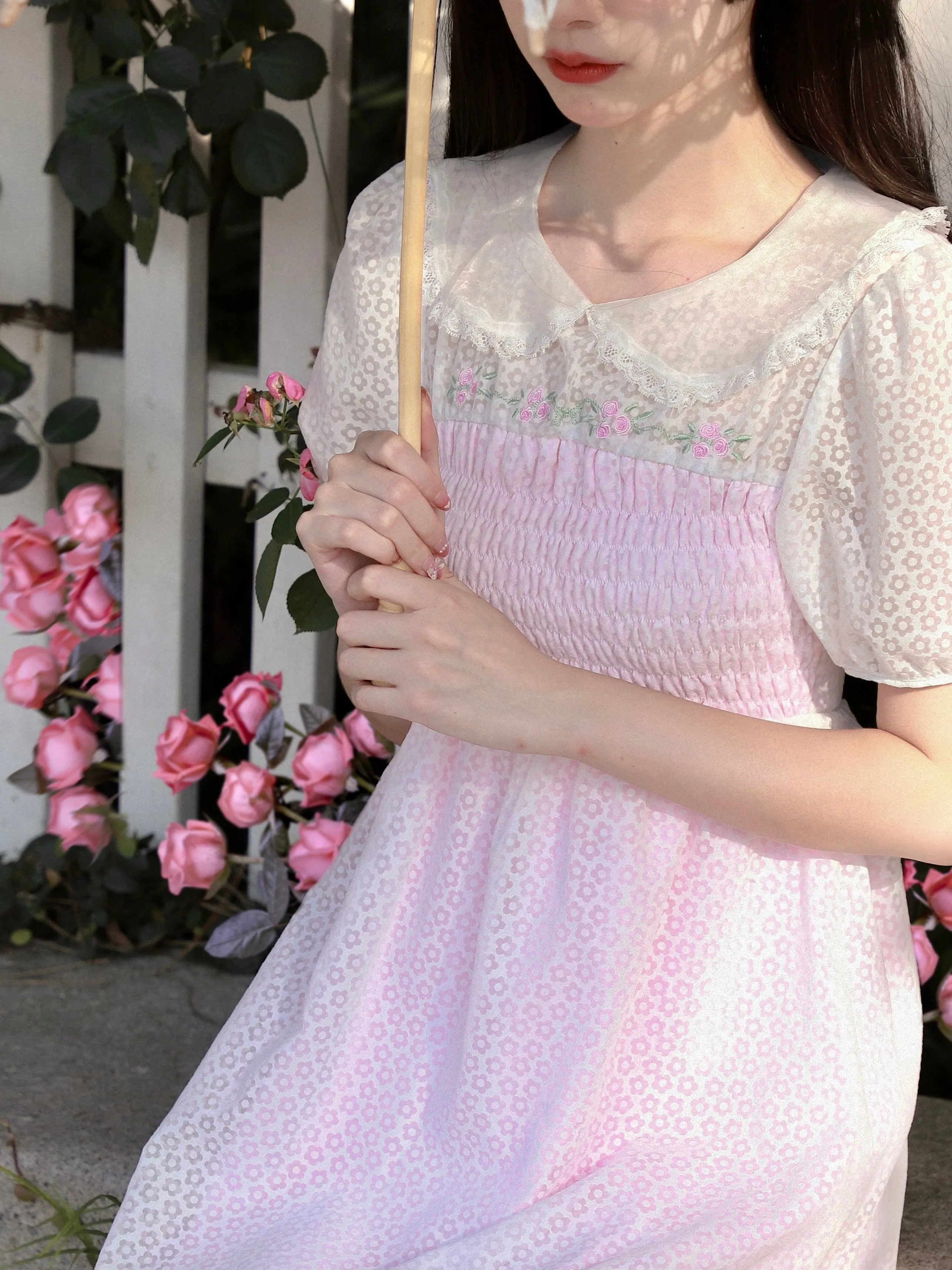 Rose Mist French Romantic Dress