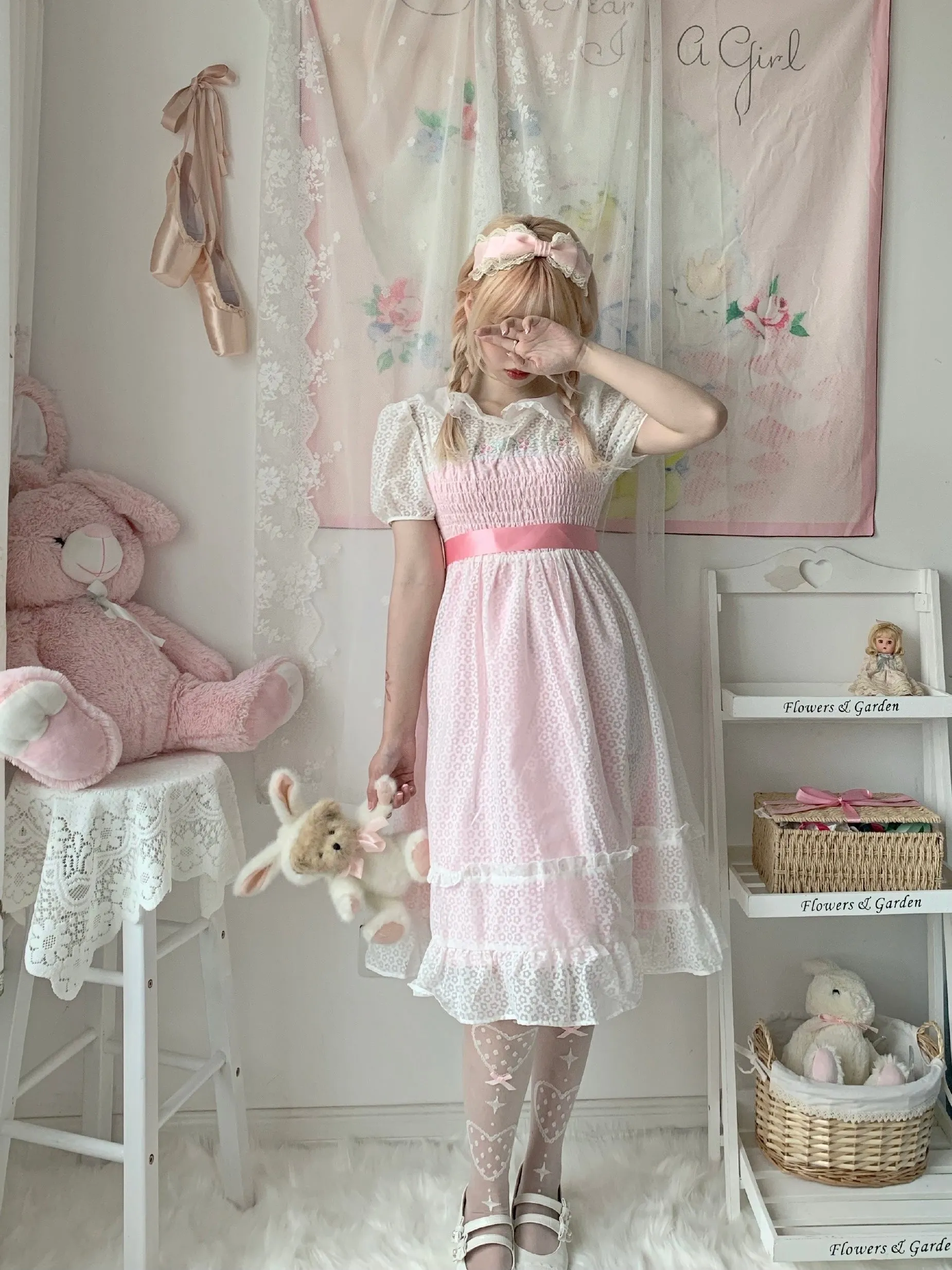 Rose Mist French Romantic Dress
