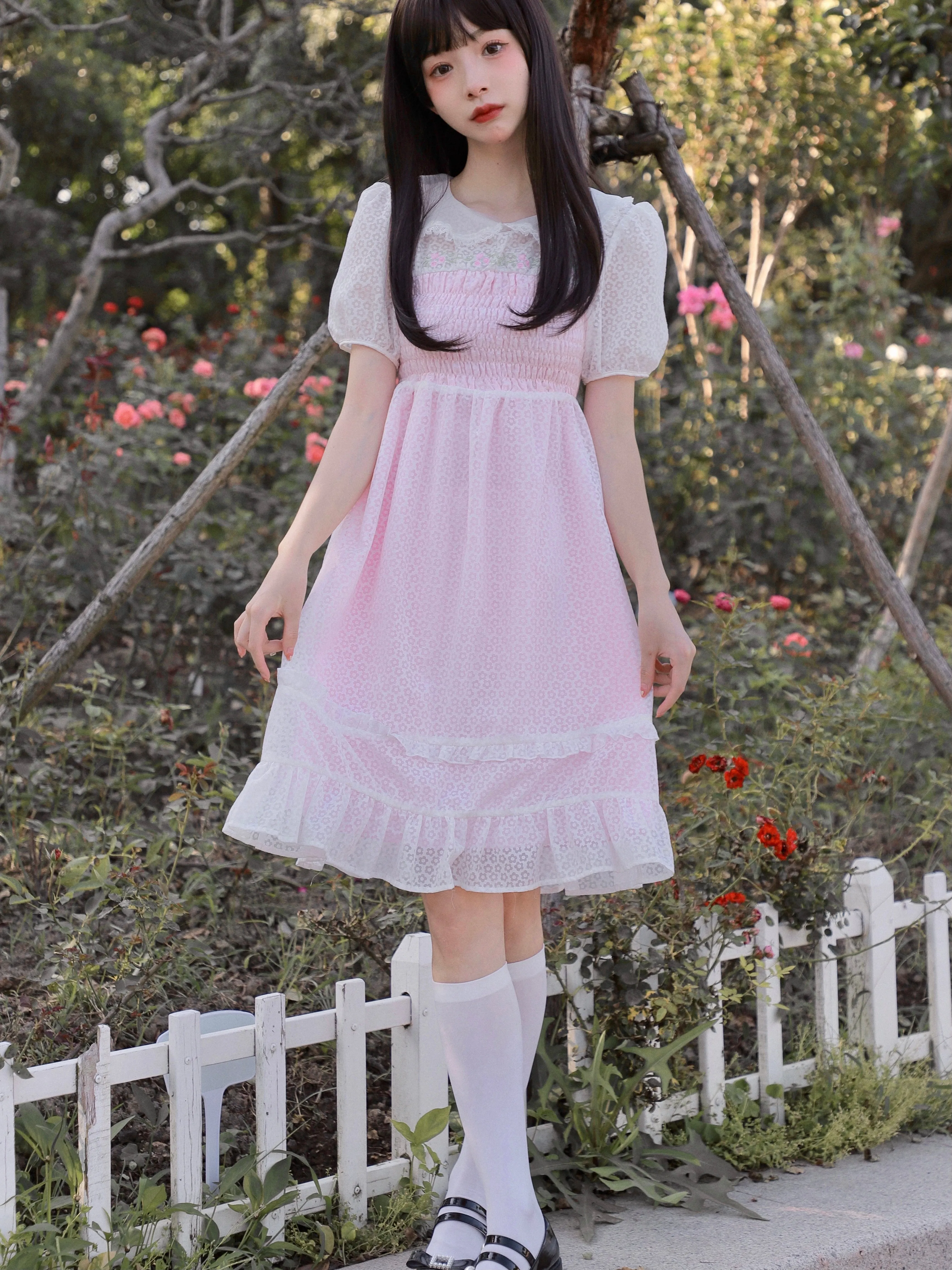Rose Mist French Romantic Dress
