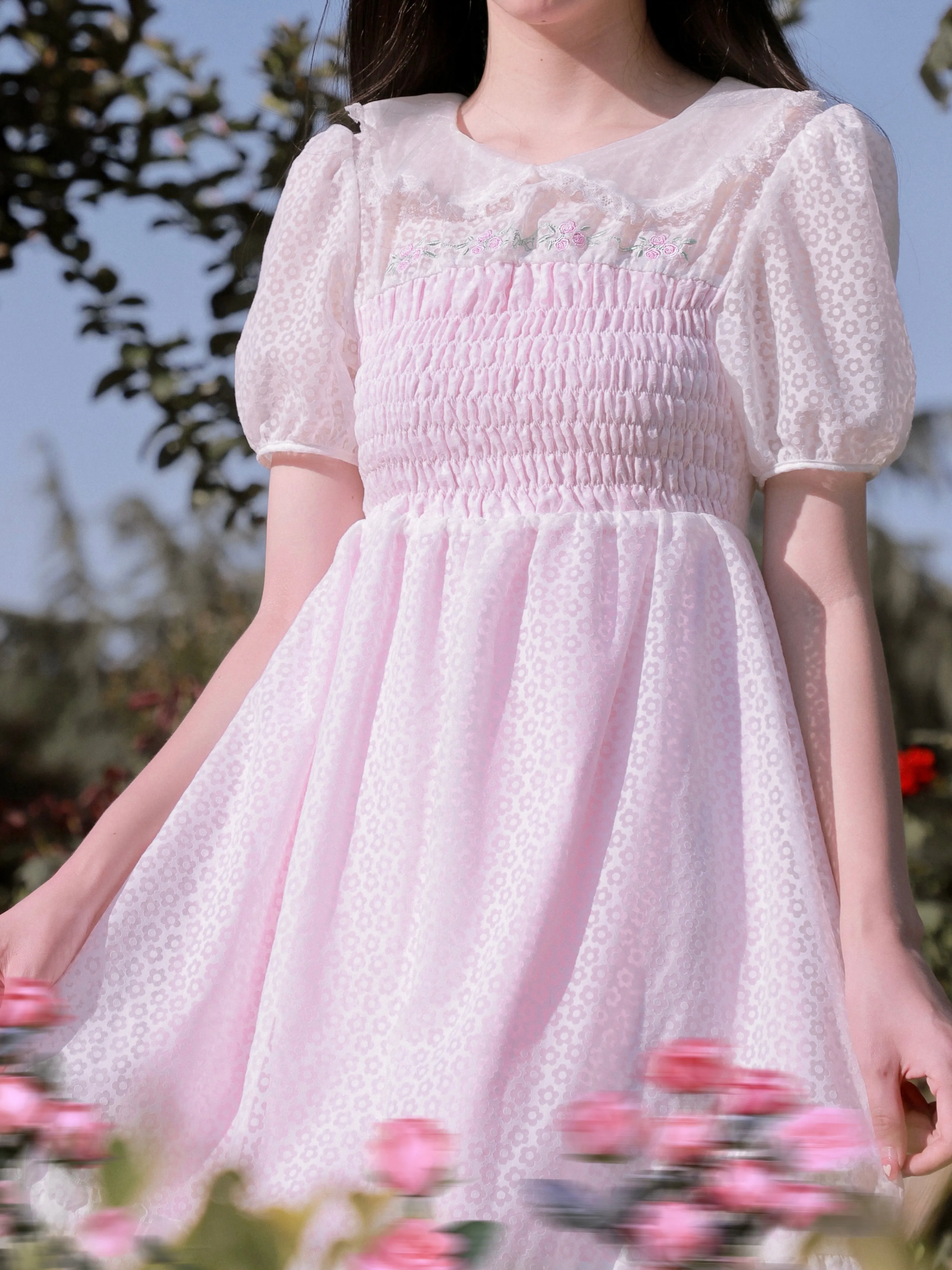 Rose Mist French Romantic Dress